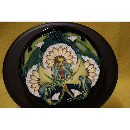 78 - Moorcroft 'Seed of Time' Wall Plaque, By Vicky Lovatt, 16cm Diameter, On a Wooden Base