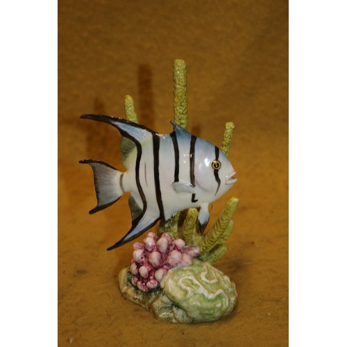 85 - Royal Worcester Rare 'Spade Fish' Porcelain Figurine, 5579, 13cm Tall, Signed on Base