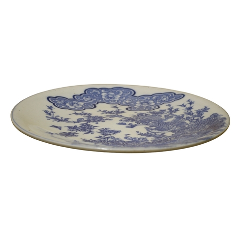 37 - Japanese Arita Blue and White Decorated Plate - Decorated with Bird and Blossom Design - 32cm Dia