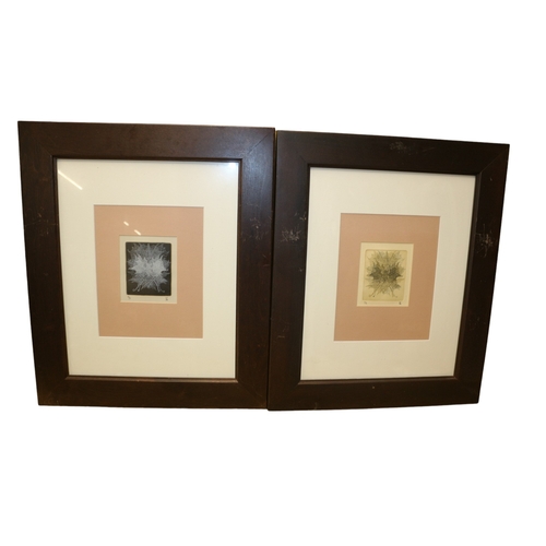 134 - 2 Framed (1 Limited Edition) Signed Leaf Pictures, 63.5 x 53.5 cm