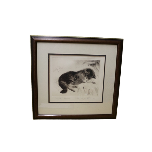 141 - Original Engraving by Kurt Meyer-Eberhardt - Kitten with Wasp - Framed and Glazed - 54 x 51.5cm