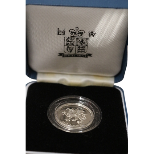 43 - Silver Proof £1 Coin 1995, Royal Mint COA