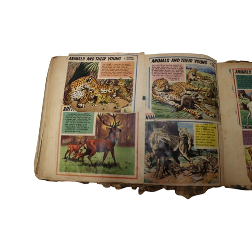 12 - 2 x Vintage Scrapbooks