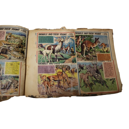 12 - 2 x Vintage Scrapbooks
