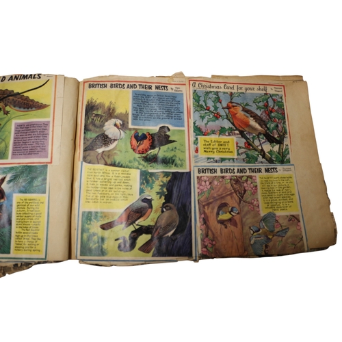 12 - 2 x Vintage Scrapbooks