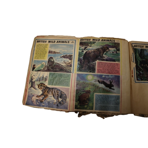 12 - 2 x Vintage Scrapbooks