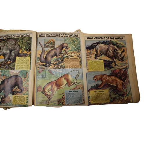 12 - 2 x Vintage Scrapbooks
