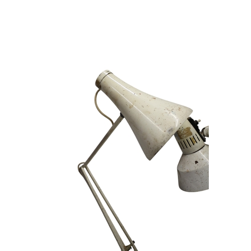 51 - 2 x Angle Poise Lamps