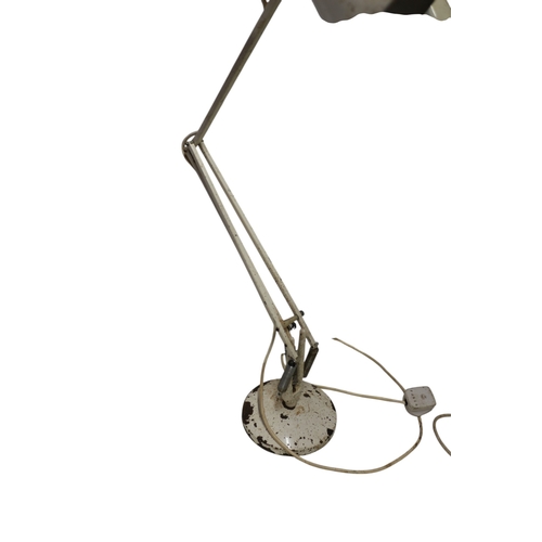 51 - 2 x Angle Poise Lamps