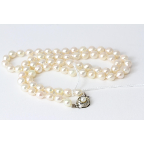 1001 - Vintage Silver and Cultured Baroque Tapered Pearl NecklaceSet with a Silver clasp marked 835. The ne... 