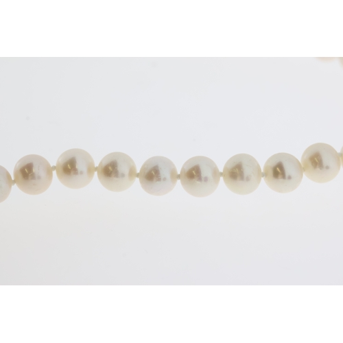 1061 - White cultured pearl strung necklace with 9ct yellow gold ball clasp