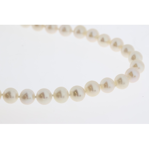 1061 - White cultured pearl strung necklace with 9ct yellow gold ball clasp