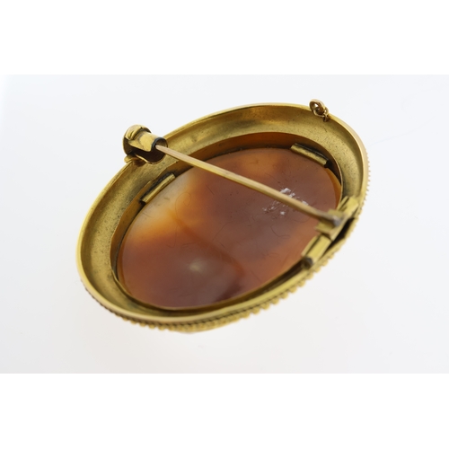 1110 - An antique shell cameo brooch depicting a ladyto her shoulder line set in a gold ornate frameapprox ... 