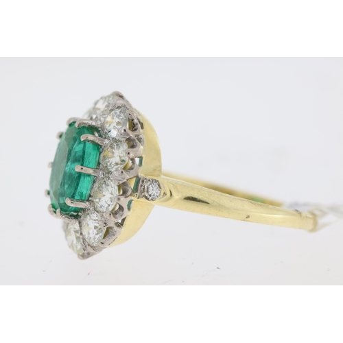 1032 - Fine Emerald and Diamond Cluster Ring, 18ct yellow & white gold, oval cut emerald surrounded by ten ... 