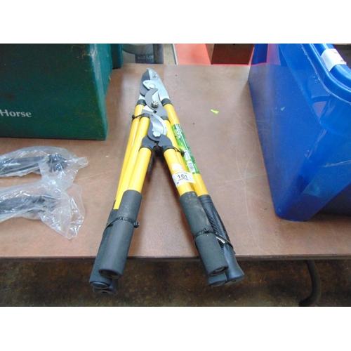 161 - Set 3 telescopic garden pruners h49