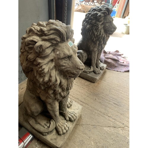 331 - pair large Heavy concrete LIONS