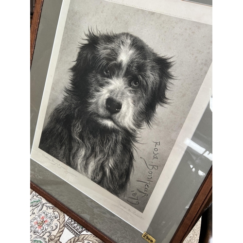 101 - Framed print b/w dog