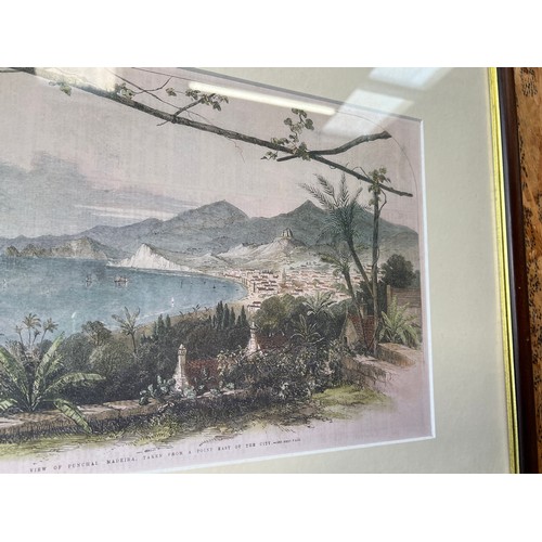 13 - framed print MADEIRA