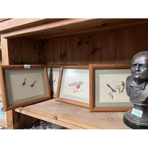 1558 - 4 x framed embroidered bird pictures