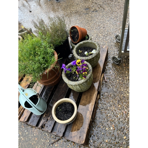 1899 - Pallet garden pots plus water can