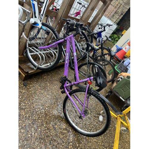 1901 - girls purple bike