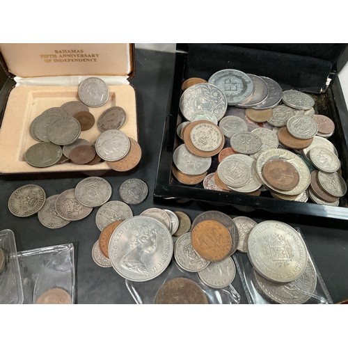 Lot 567       