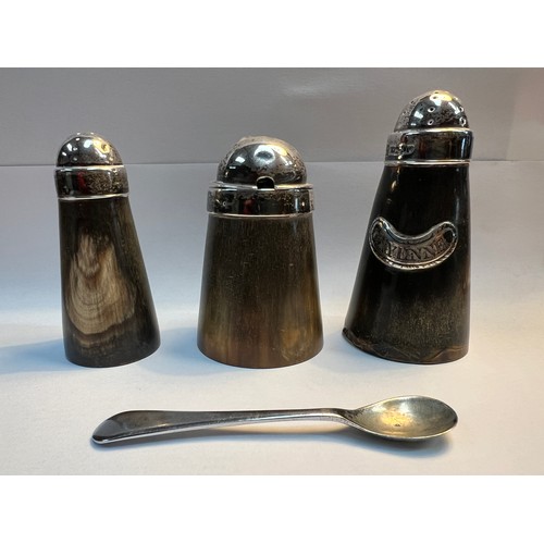 12 - horn silver top cruset...