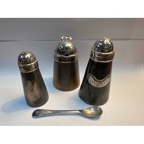 12 - horn silver top cruset...