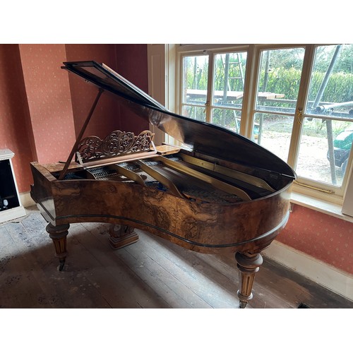 406 - Bluthner Piano for Auction Burr Walnut Piano 1450Wx1800Lx1000H<br />Bluthner Piano Sold in Situ in S...