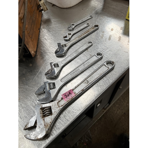 245 - set adjustable spanners