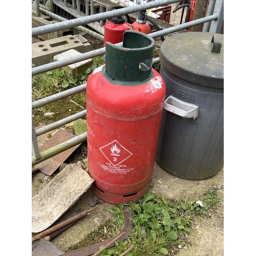 642 - propane gas bottle