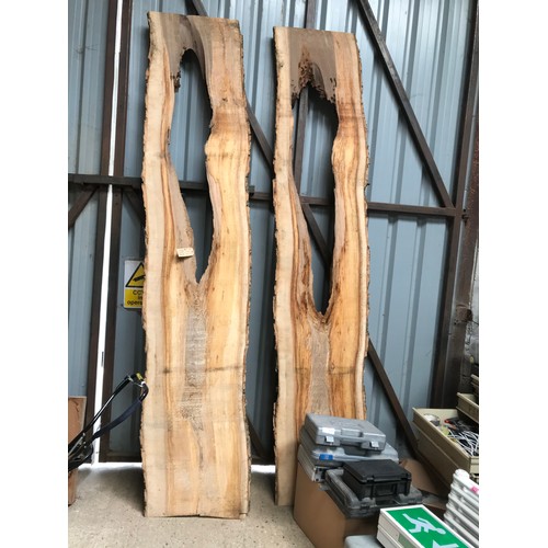 428 - Plank Olive ash slab wood 9f 5” x 2ft wide x 2” thick