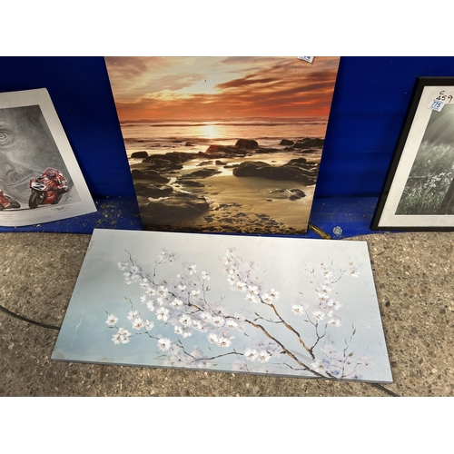 774 - 2 x canvas pictures