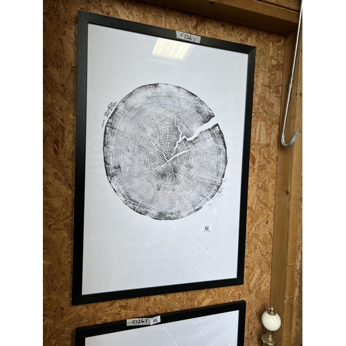 65 - Large Black framed tree ring print