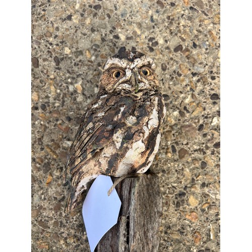 24 - drift wood carving owl