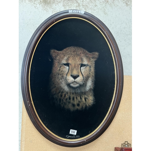 550 - oval picture felt picture big cat