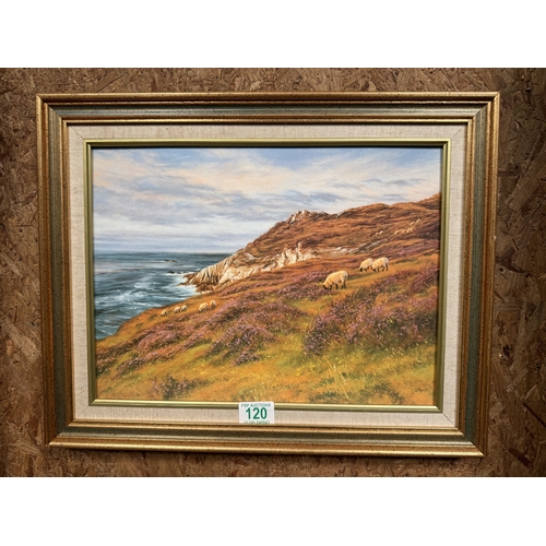 Lot 120       