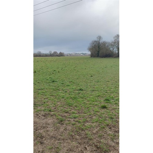 35D - Freehold investment land. With significant potential in future (subject to obtaining the required co... 