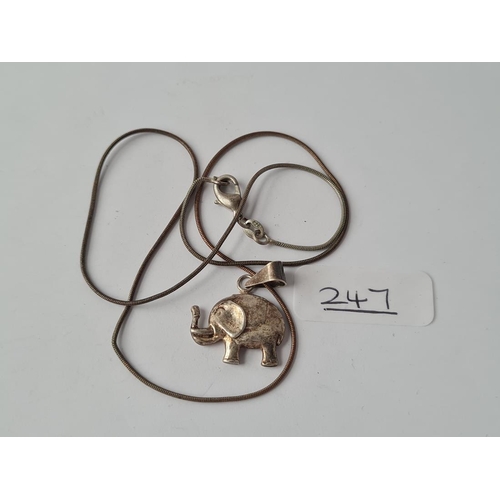 Lot 247       