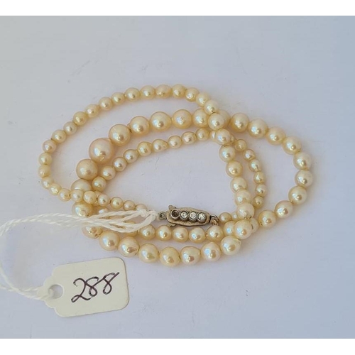 Lot 288       