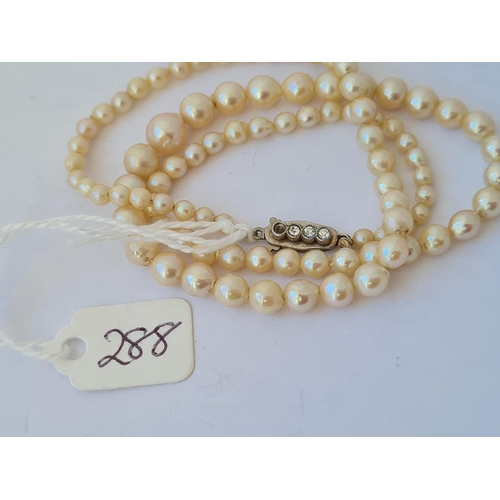 288 - A single row of pearls with silver clasp