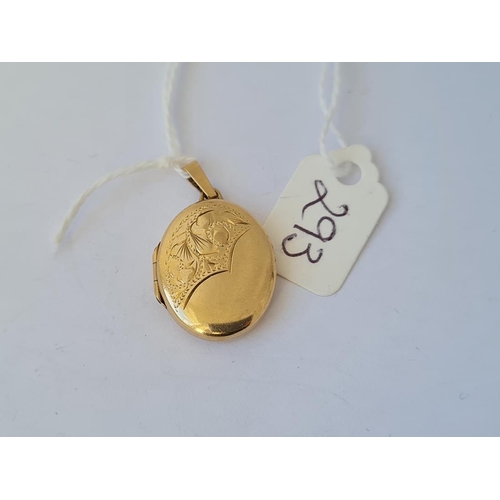 Lot 293       