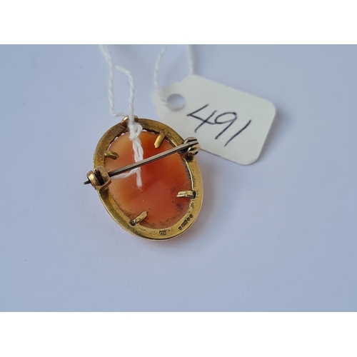 491 - A cameo brooch in 9ct mount