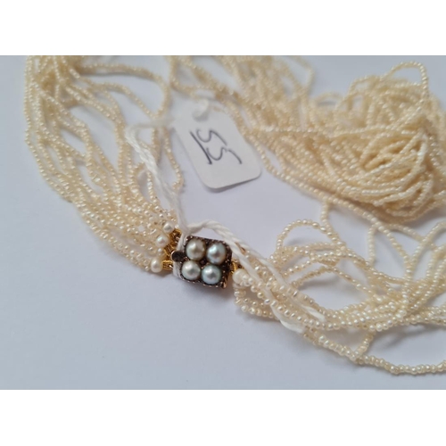 55 - AN ANTIQUE NATURAL SEED PEARL 12 ROW NECKLACE STRUNG ONTO AN ANTIQUE 4 PEARL GOLD CLASP - 19