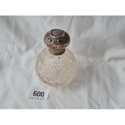 Lot 600       