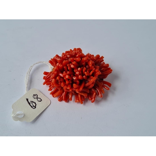 Lot 68        