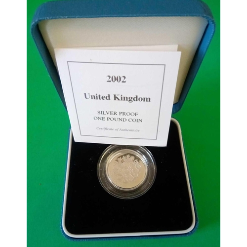 1218 - 2002 silver proof pound cased