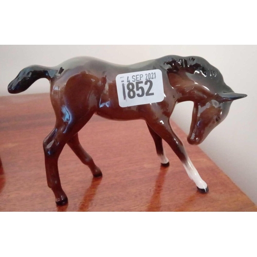 Lot 1852      