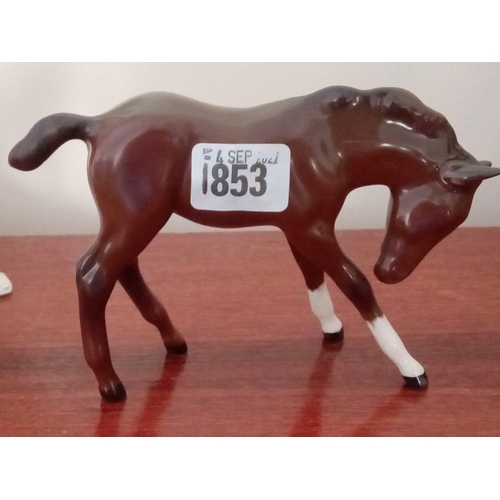 Lot 1853      