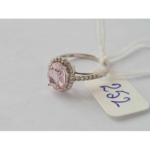 252 - A PRETTY PINK KUNZITE AND DIAMOND CLUSTER RING IN 9CT WHITE GOLD SIZE N - 2.4 GMS